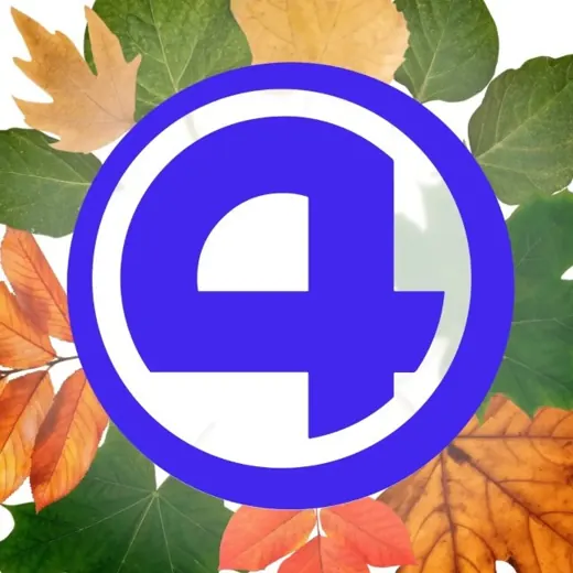 4 канал | Екатеринбург | Новости — Новости и СМИ Telegram
