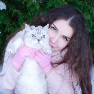 ASMR KittyKlaw 🐈 — Для Взрослых Telegram