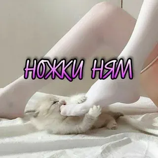 Ножки ням — Réservé aux adultes Telegram