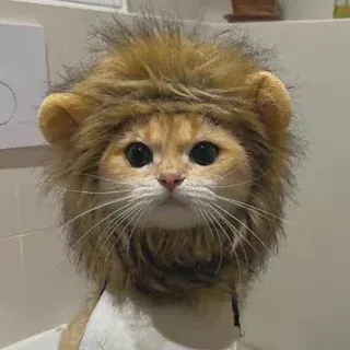 хитаро тянки — Для Взрослых Telegram