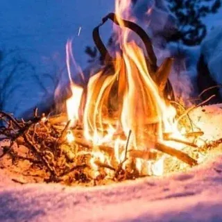 Выживание на природе при любой погоде — Развитие, Обучение Telegram