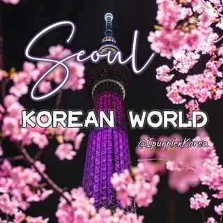 홆홊홍홀혼홉 홒홊홍홇혿 — Развитие, Обучение Telegram