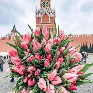 Москва и москвичи — Развитие, Обучение Telegram