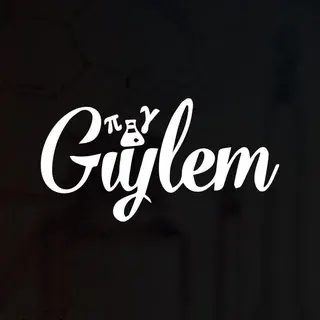 Гыйлем — Развитие, Обучение Telegram