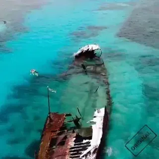 Дайвинг - Погибшие корабли — Развитие, Обучение Telegram