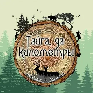 Тайга, да километры🌲 — Развитие, Обучение Telegram