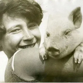 Биробиджанство — Развитие, Обучение Telegram