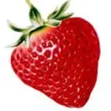 PornDrive — Réservé aux adultes Telegram