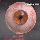 SLIVBLOG 2.0 — Для Взрослых Telegram