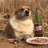 吃瓜.猎奇.新闻电视台 — Для Взрослых Telegram