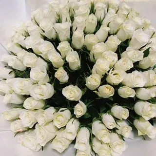 Abdikadirova✨️ — Музыка Telegram