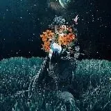 Luna — Для Взрослых Telegram