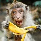 DISNEY ХАТКА — Для Взрослых Telegram