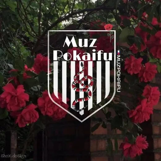 Музыка по кайфу 🕊 — Музыка Telegram