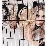 Group Paradise — Для Взрослых Telegram