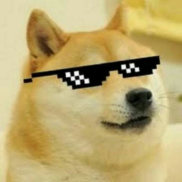 Canal Memes Aki