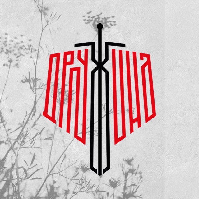 Народная Дружина