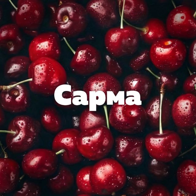 Сарма