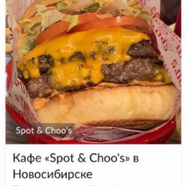 SPOT&CHOO’S