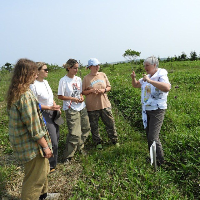 Туризм на Южных Курилах