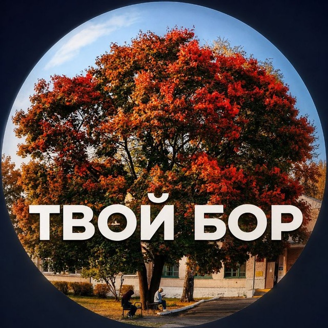 Твой Бор | tvoy-bor.ru