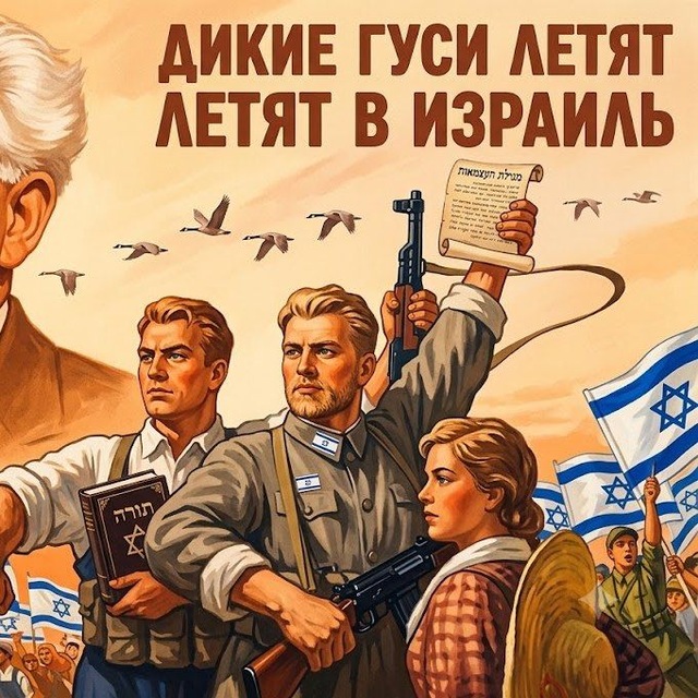 Дикие гуси летят в Израиль🇮🇱