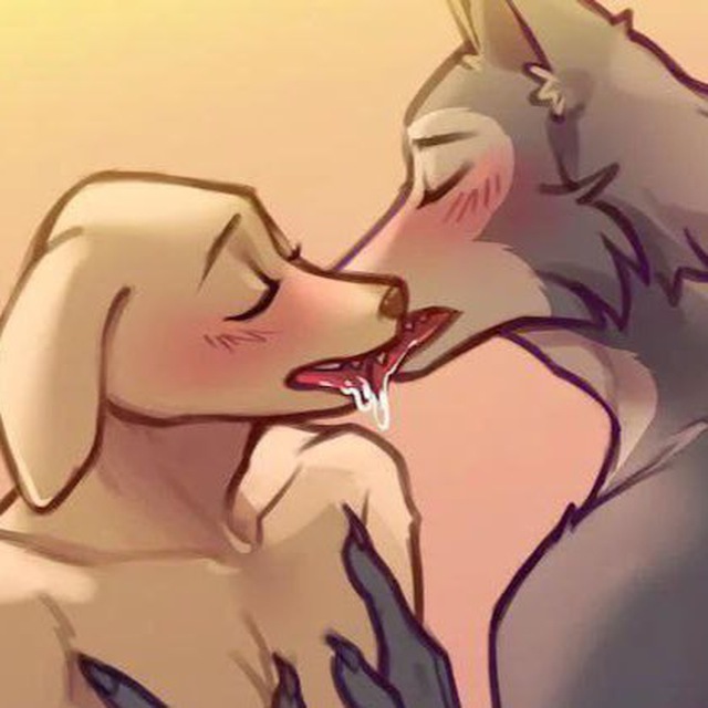 🐺 Beastars Yiff 🐺