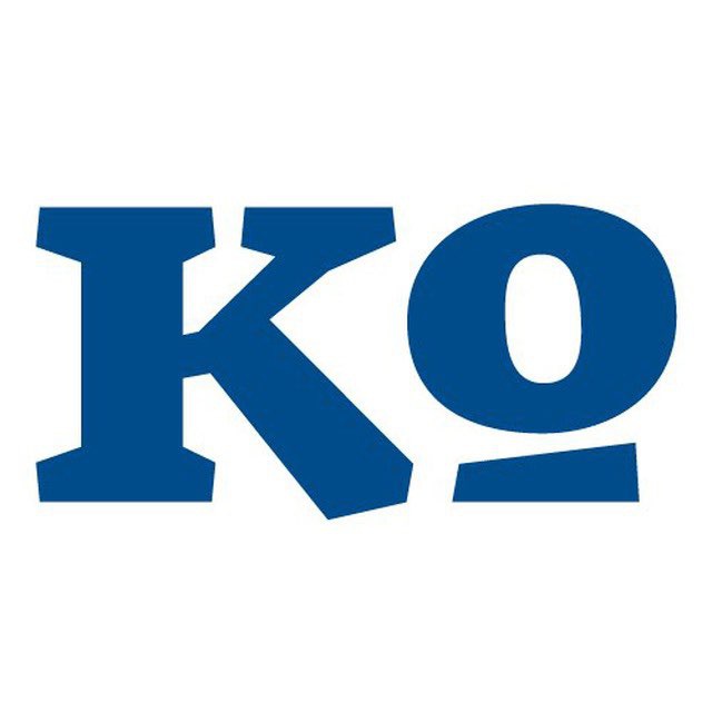 Новый компаньон