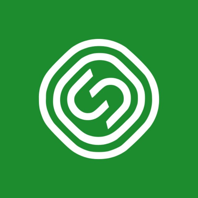Segezha Group