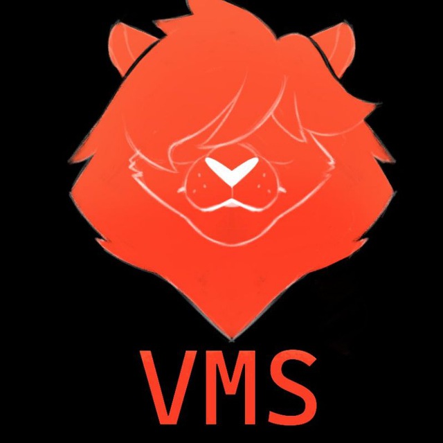 Vaeruff Management Services