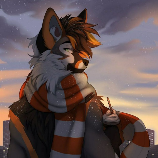 🦊 Cute Furries ❤️