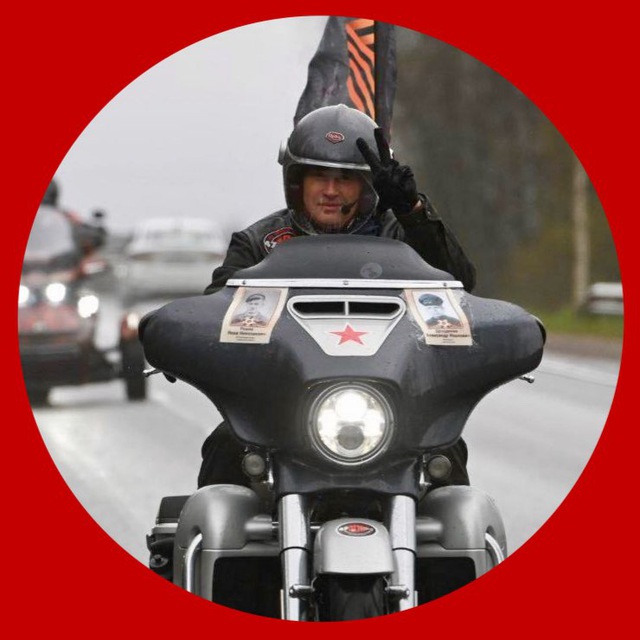 Александр ДроZденко — Политика и Экономика Telegram