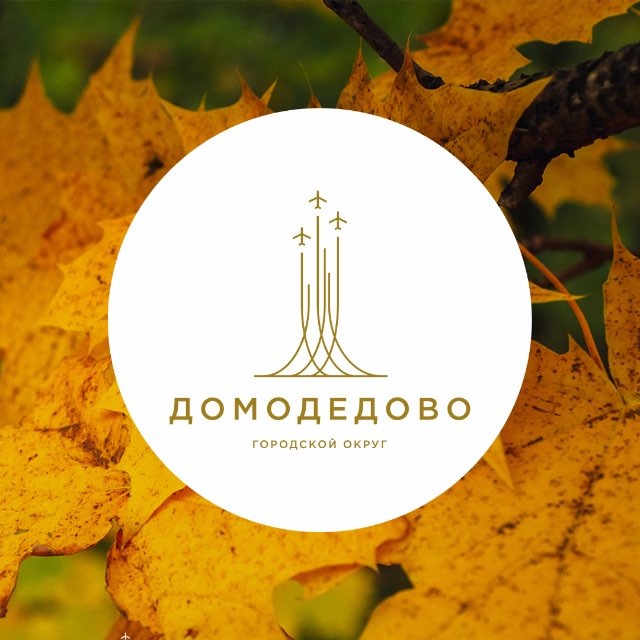 Администрация г. о. Домодедово