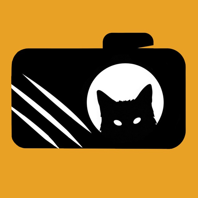 Подсмотрено за животными