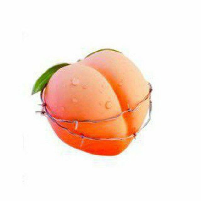 Shgh_drd kosirx mr_jaghr