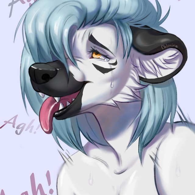 Chlorine's Art
