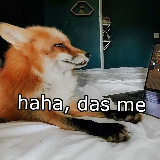 🦊Yapper Fox🦊