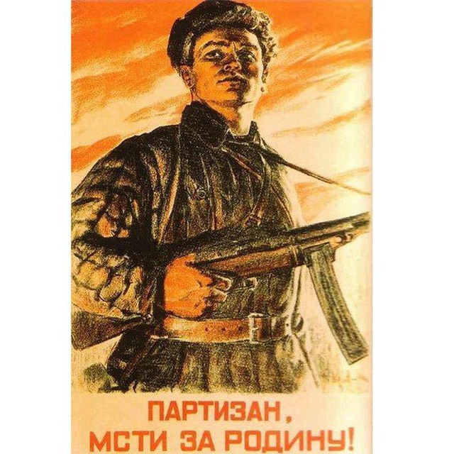 Партизаны за Родину