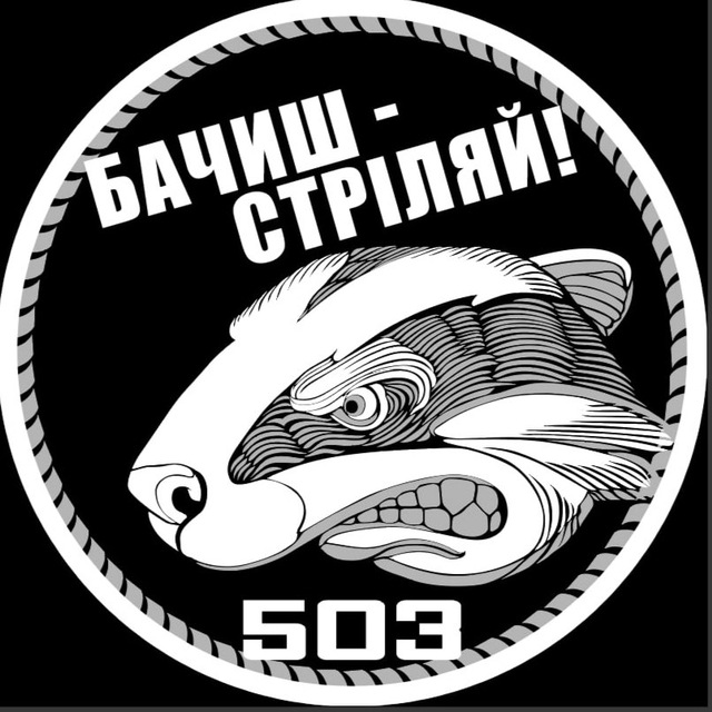503_Борсуки