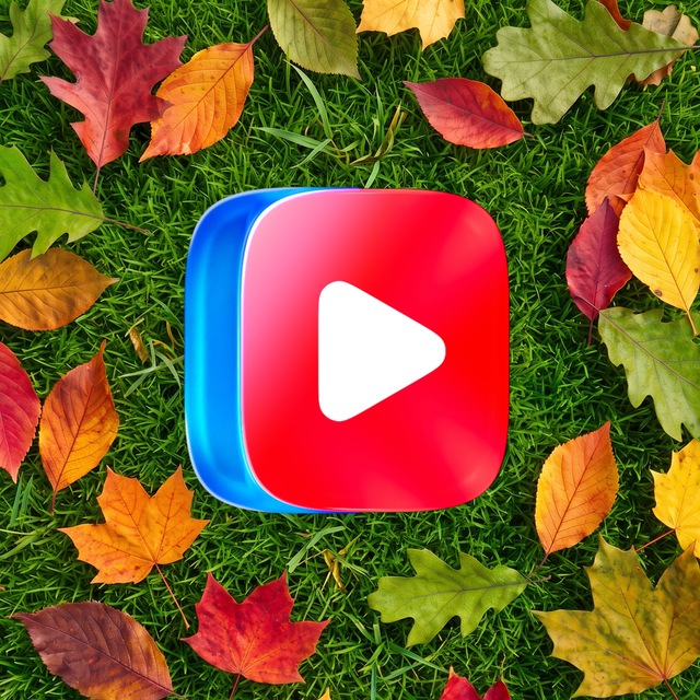 VK Видео