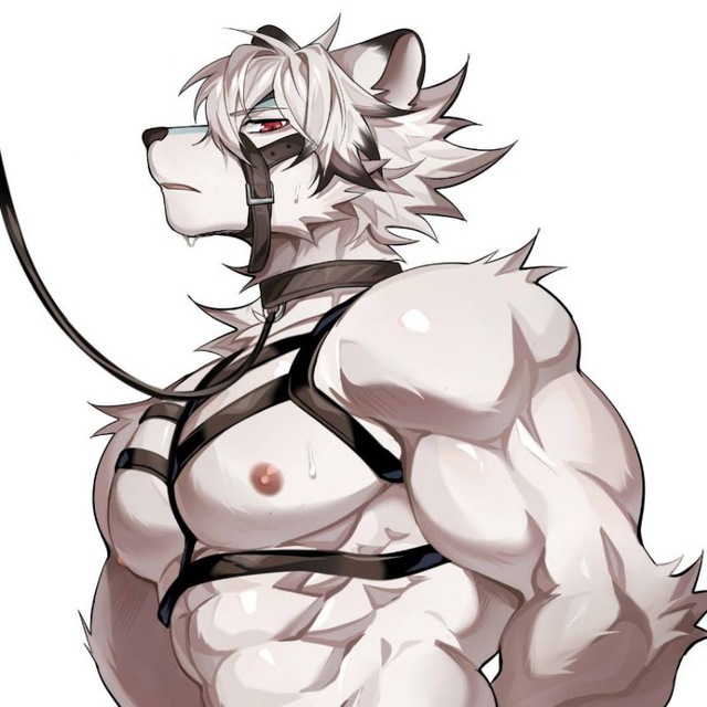 Gay furry yiff | Гей фурри йифф