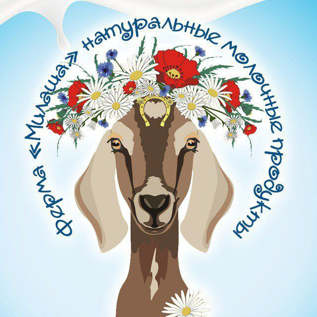 Сыроварня "Милаша"
