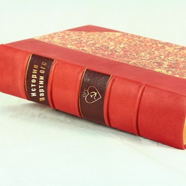 История Партии ОГС