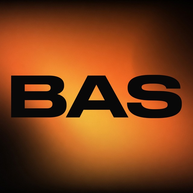 Business Adult Summit | BAS
