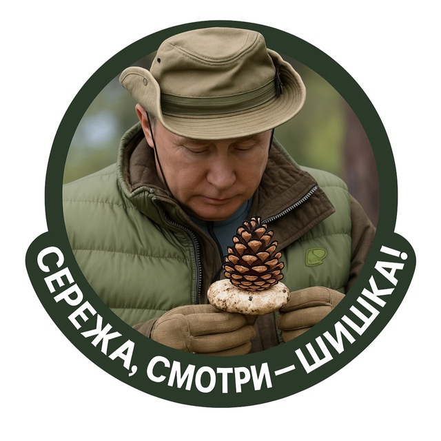 СЕРЁЖА, СМОТРИ — ШИШКА!