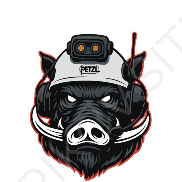 Red Wild Boar