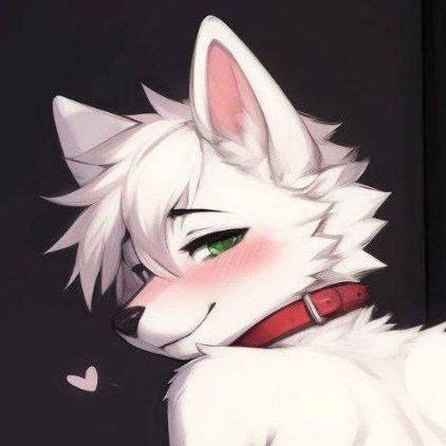 Furry Yiff Gay world 💝