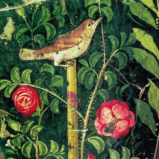 Cubile philomelae
