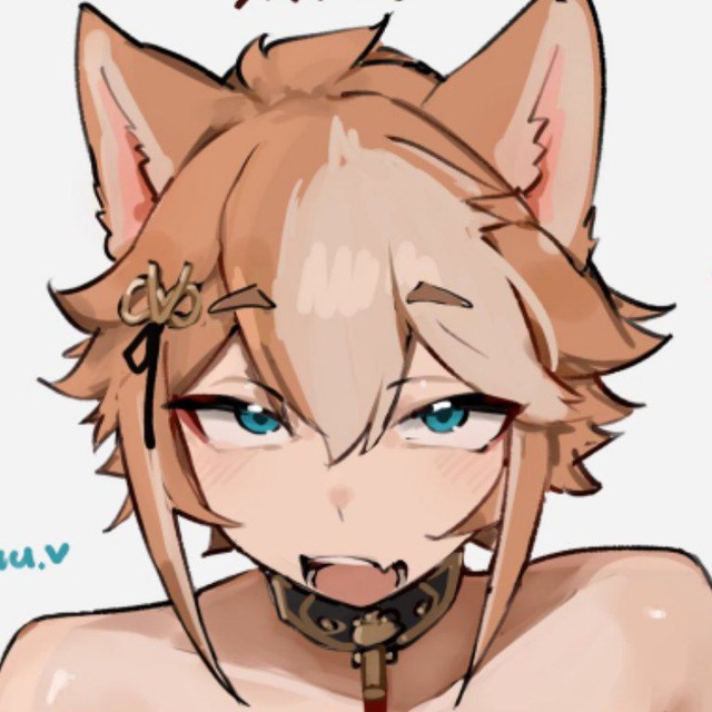 Femboy Furry House ‹𝟹