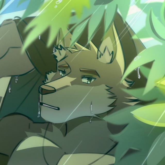 AIDER | FURRY ART +18